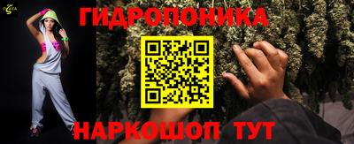 крисы Балахна